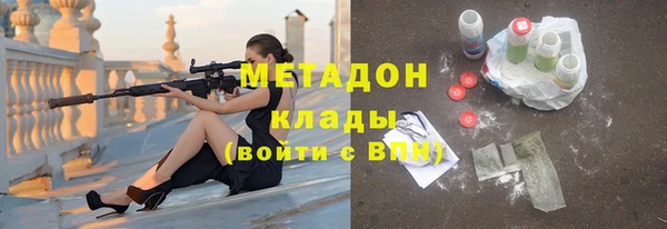 прущие грибы Сафоново