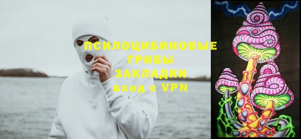 мдпв Рославль