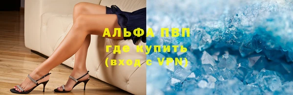 прущие грибы Сафоново