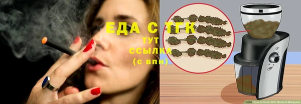 мдпв Рославль