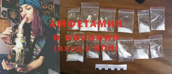 прущие грибы Сафоново