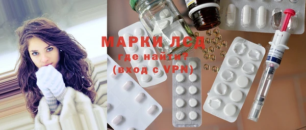 прущие грибы Сафоново