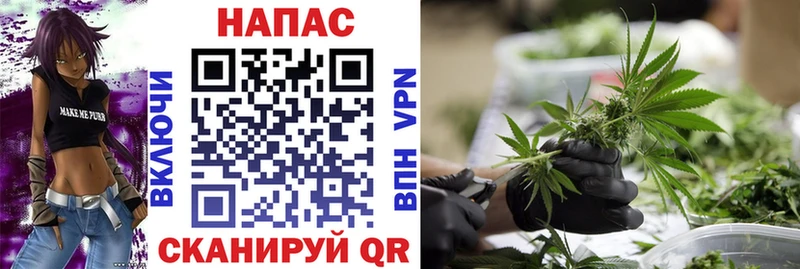 как найти наркотики  Томари  Шишки марихуана сатива 